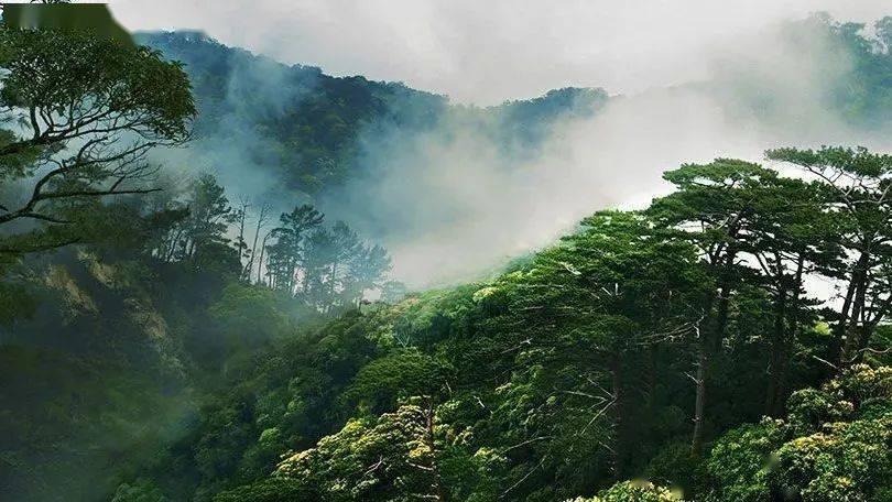 复活节记忆卡