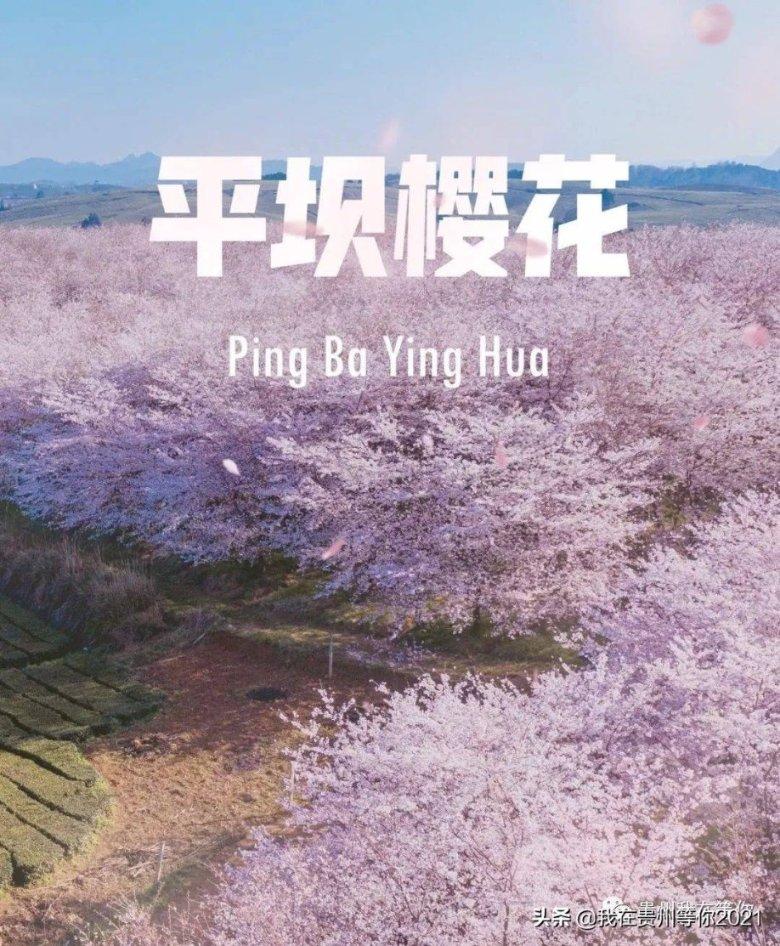 《幻兽帕鲁》联机游玩介绍