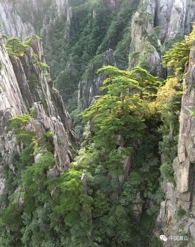 侨银股份(002973.SZ)预中标1.21亿元环卫作业一体化服务项目