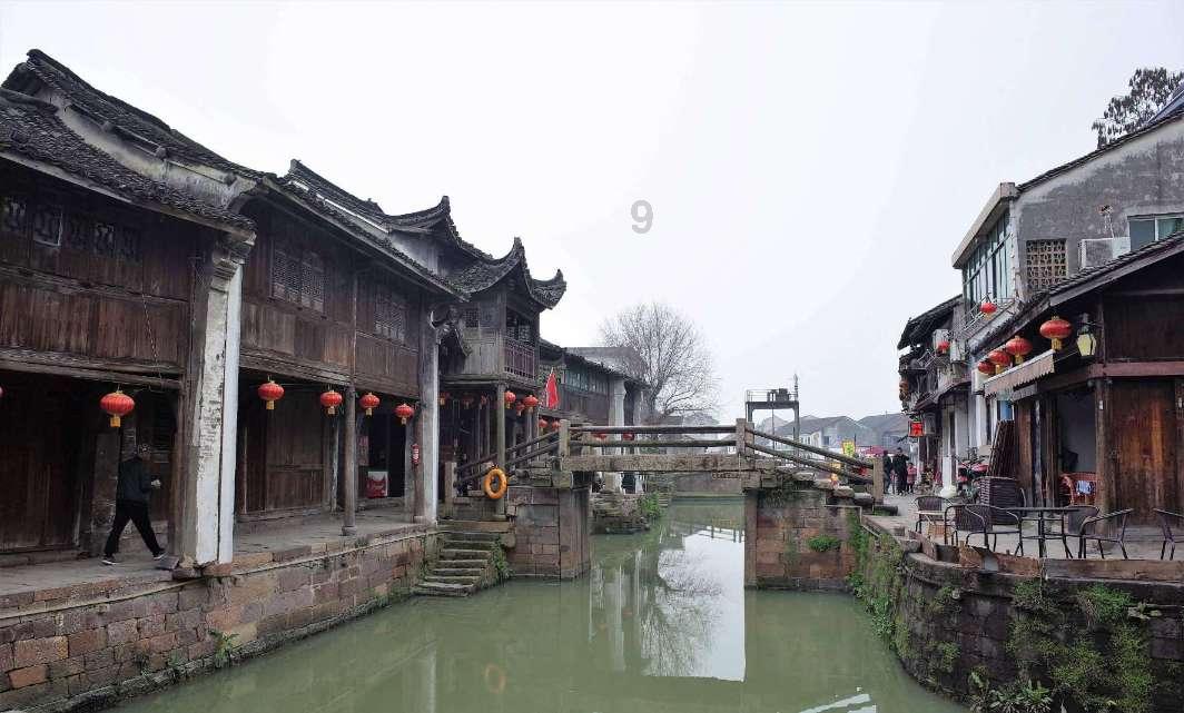 卡通骆驼救援
